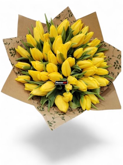 Photoroom 20260202 131942