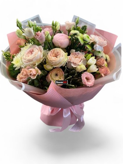 Photoroom 20260202 131257