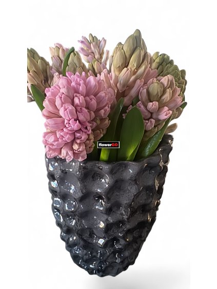 Photoroom 20260228 222539