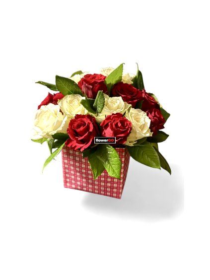 Photoroom 20260506 101847