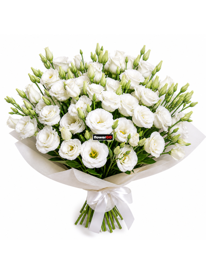 Eustoma bílá