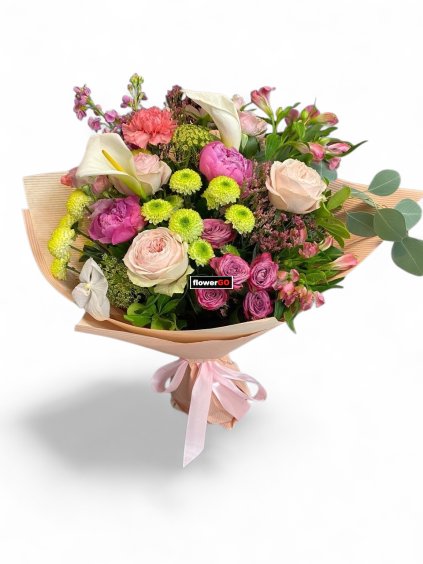 Photoroom 20260227 103615