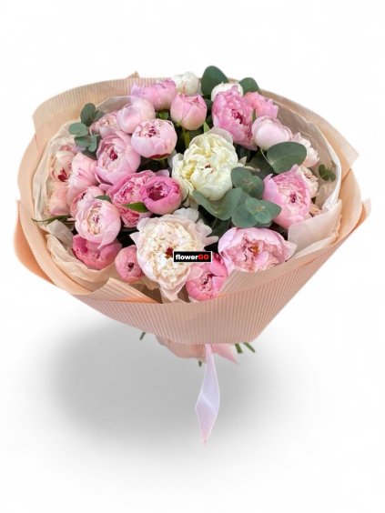 Photoroom 20260227 102358