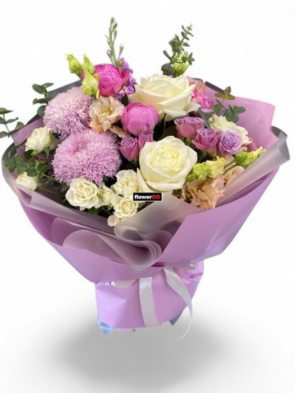 Photoroom 20260212 214322