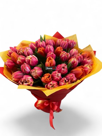 Photoroom 20260116 024233