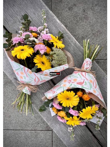 letn%C3%AD%20sv%C4%9B%C5%BEest