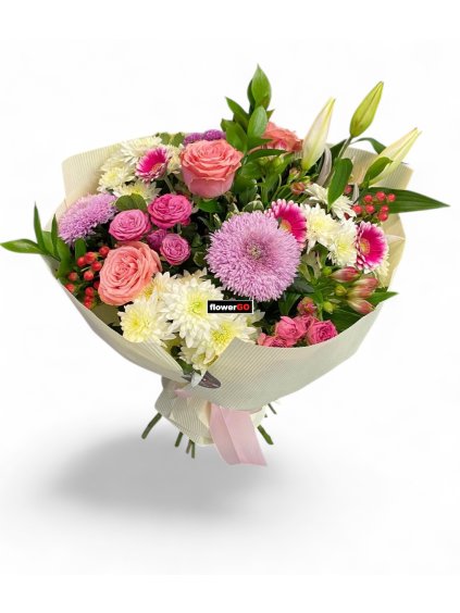 Photoroom 20260202 130610