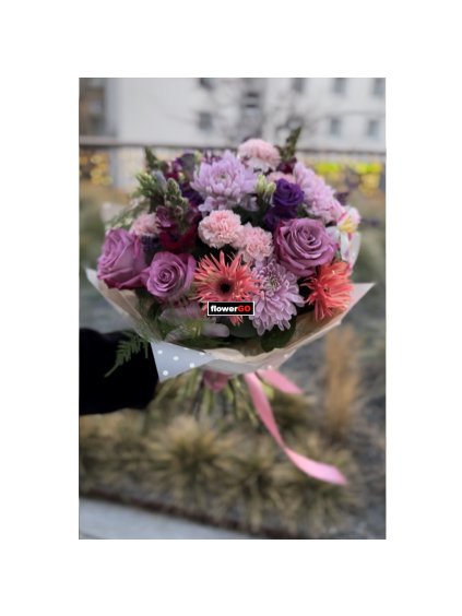 62D38F69 AC74 4022 B894 5D1B7DB838CD