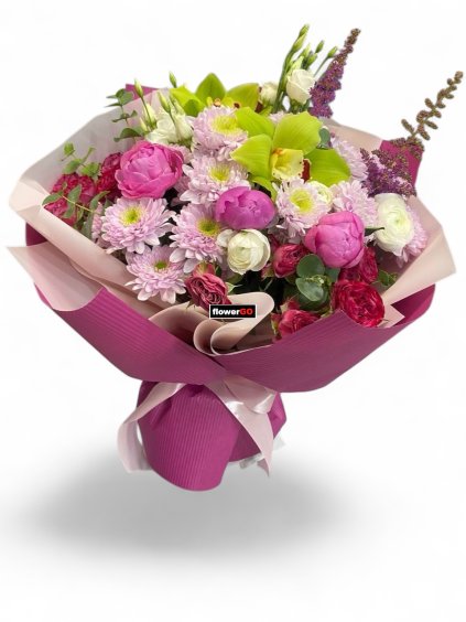 Photoroom 20260212 214205