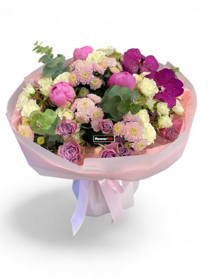 Photoroom 20260212 214247