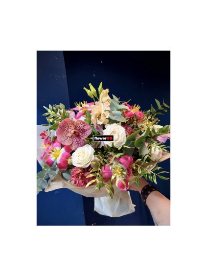 8AD9829E 2E77 43D0 A0D6 CF32769AF9AE