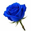 IMAGE 2026 05 27 23:10:37