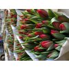 Kytice 50-ti čerstvých  holandských tulipánů