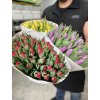 Kytice 50-ti čerstvých  holandských tulipánů