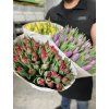 "Balík" 50-ti čerstvých  holandských tulipánů