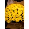 flowergo.cz ruze 60