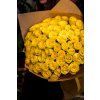 flowergo.cz ruze 64