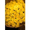 flowergo.cz ruze 66