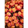 flowergo.cz ruze 39