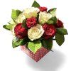 Photoroom 20260506 101804