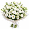Eustoma bílá