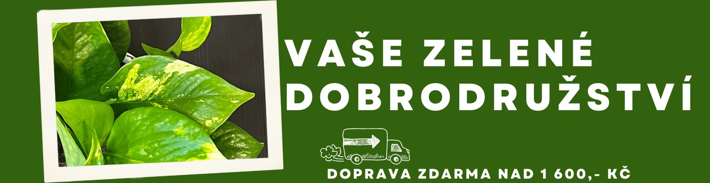 Doprava zdarma