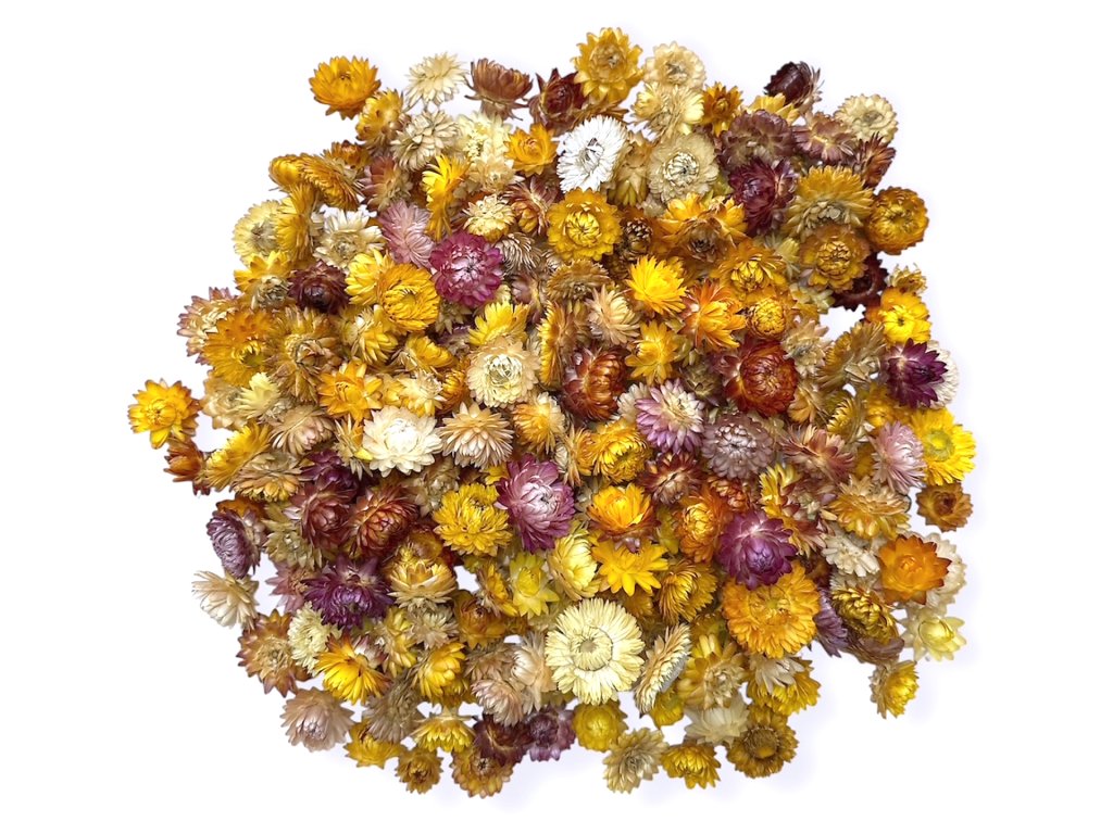 dried strawflower heads straw flowers heads 100g assorted mix colors