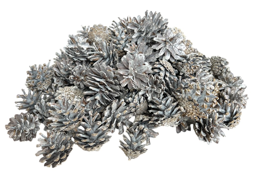 Šišky borovice horskej 1kg prírodné vintage biele (2)