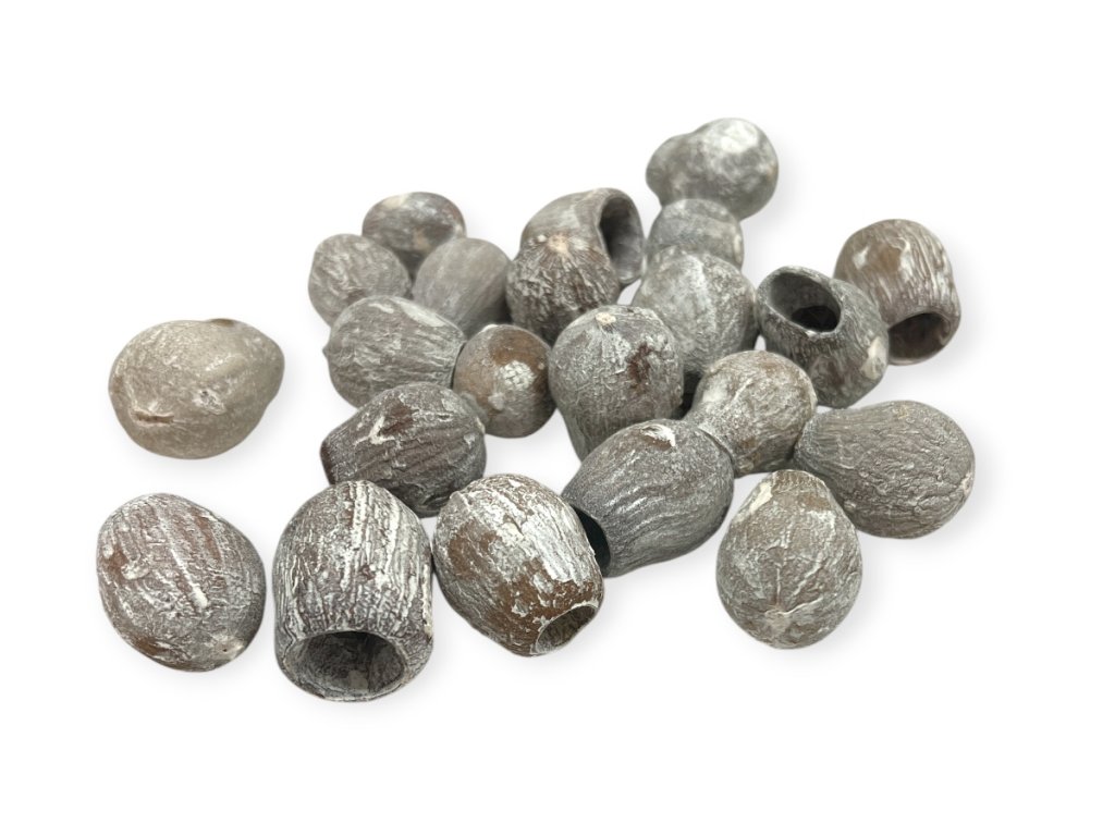 Eukalyptové plody Bell Gum 150g - vintage biele