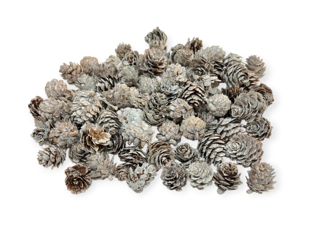 Larch Cones 160g - vintage white