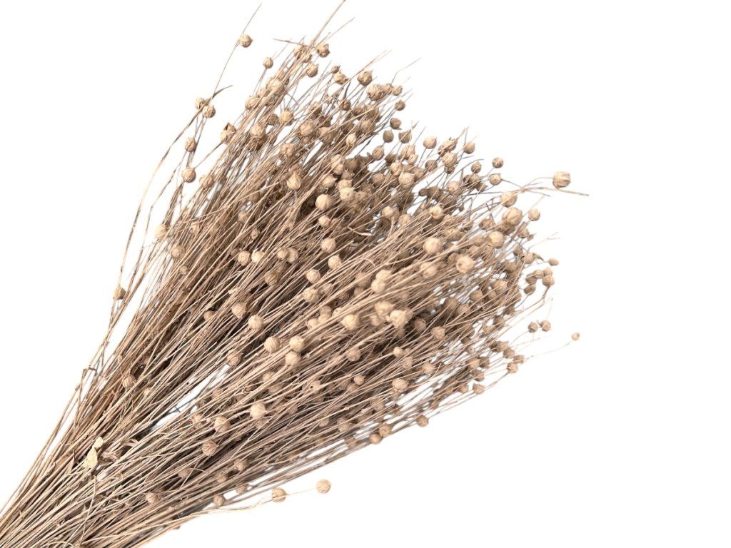 Dried Flax Bunch - Approx. 100g, Vintage Beige