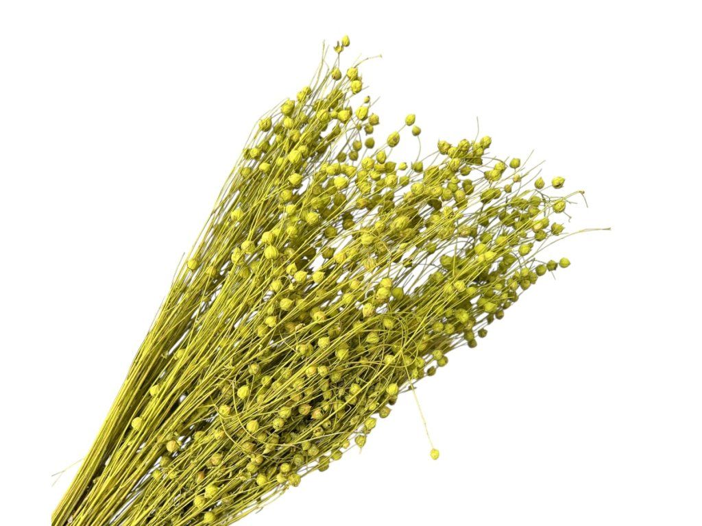 Dried Flax - bouquet approx. 100g - vintage olive