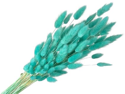 lagurus dark green tyrkys turqoise