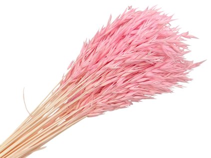 ovos avena powder pink pudrova1