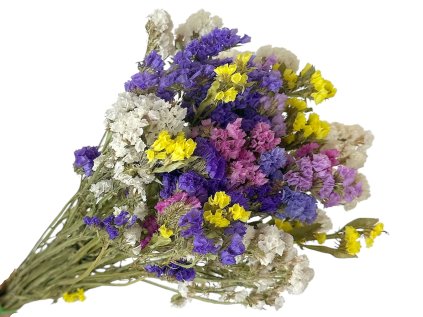 statice limonium dried preserved flowers statice mix colors