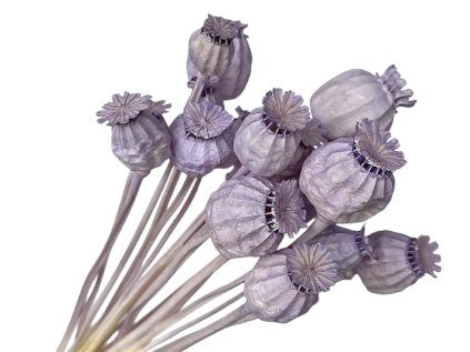 susene makovice zelene