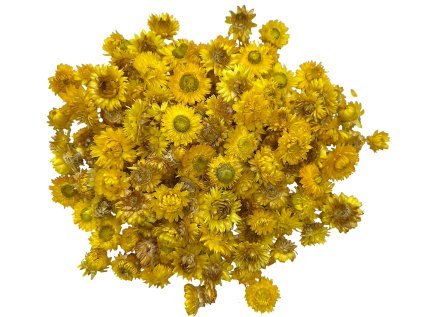 susene slamienky hlavicky straw flowers heads 100g žlté yellow