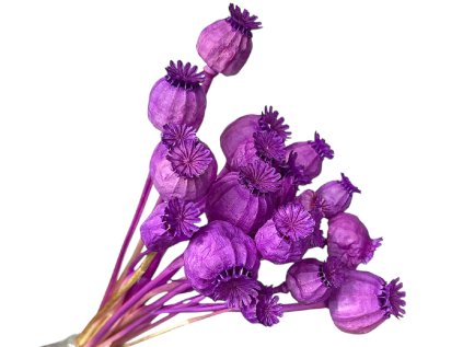 susene makovice zelene