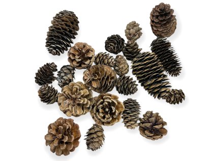 susene-aranzerske-sisky-domovina-100g-prirodne