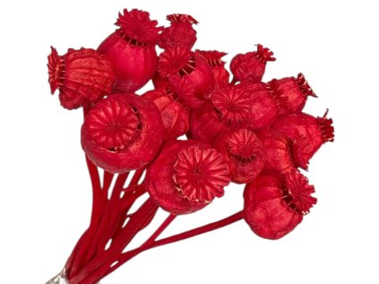 susene makovice zelene