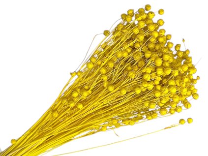 dried flax bouquet approx. 100g light yellow