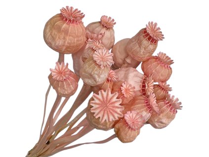 susene makovice zelene