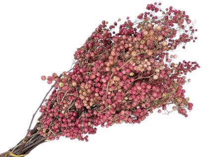 Pink pepper ružové korenie piepor Schinus Molle