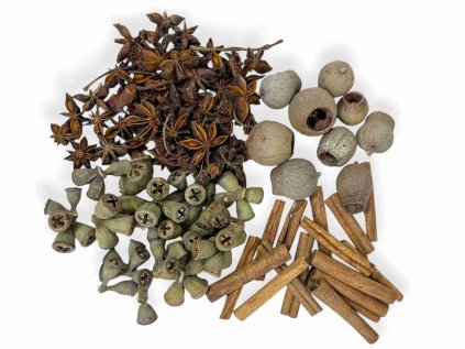 susina sada vianoce aniz skorica badian eukalyptus1