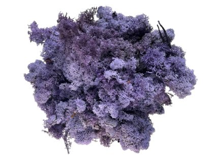 Islandský lišajník, sobí mach 250g fialový