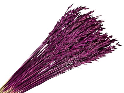 dried oats fuchsia dark purple