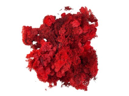 Islandský lišajník, sobí mach 250g červený (3)