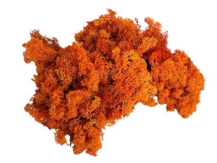 Islandský lišajník, sobí mach 250g oranžový