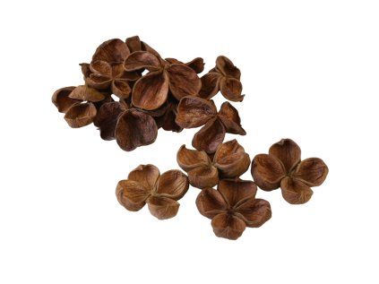 9195ada2 a412 4b5b aaa7 96c342a26131