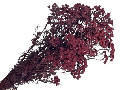 vratic tanacetum preserved stabilizovane bordove burgundy